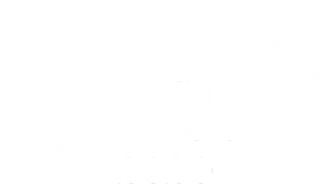 award_3